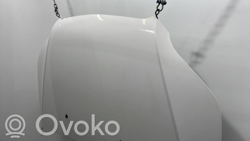 Konepelti   95164301