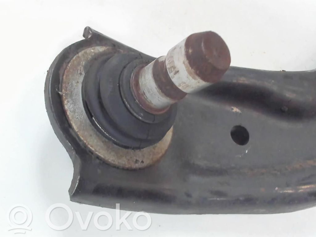 Dakša   95319216