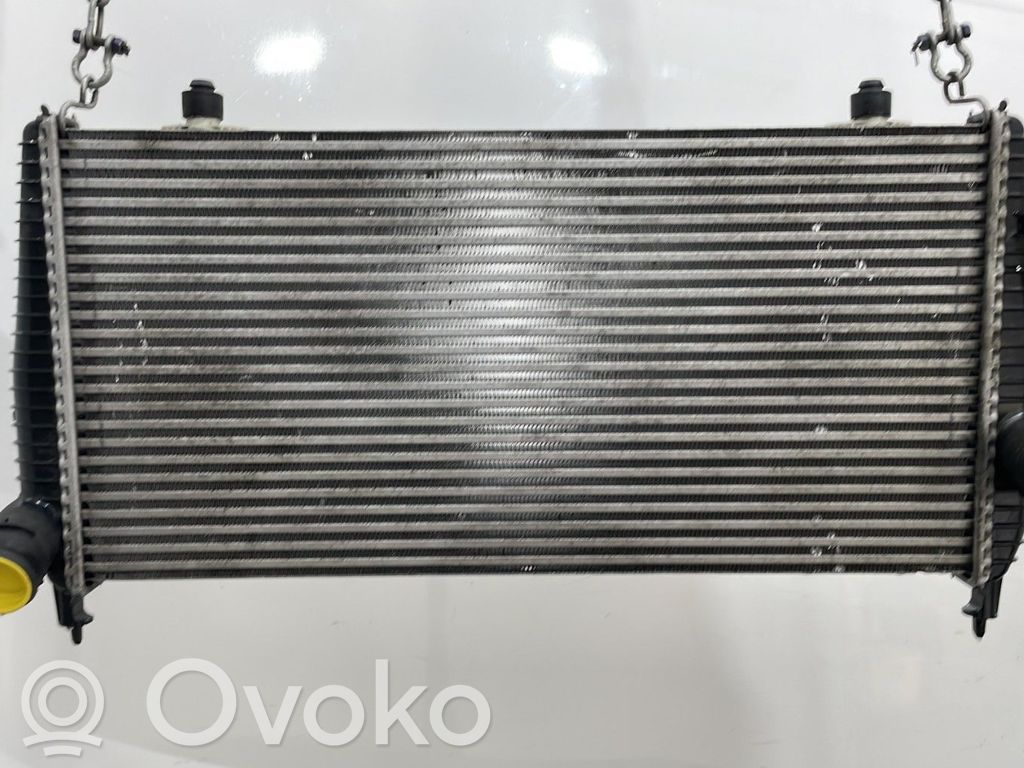 Radiador intercooler   00000384L5,1401065180