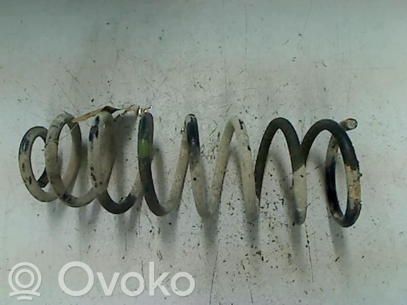Rear coil spring   00005102C2