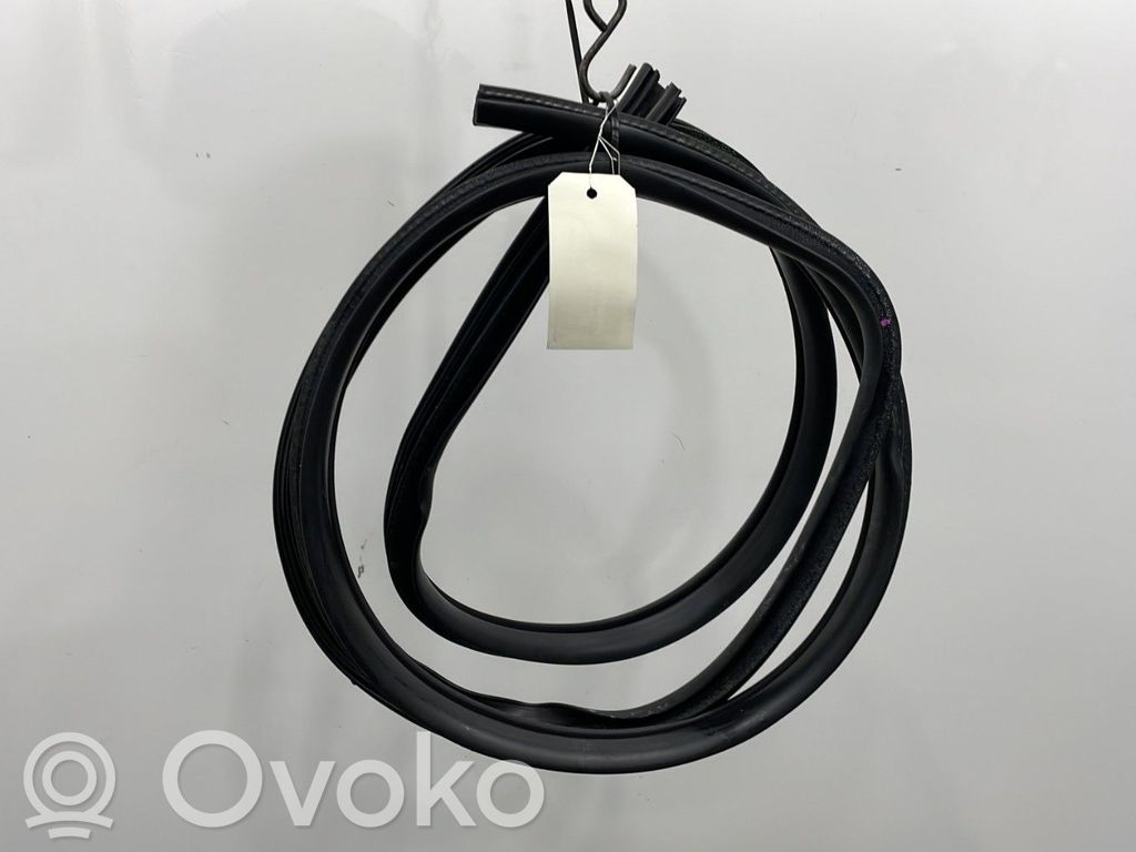 Gumowa uszczelka drzwi przednich   5076867AD