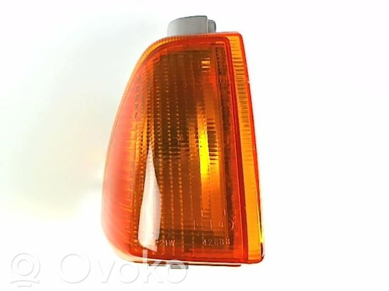 Front fender indicator light