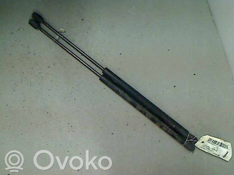 Tailgate/trunk strut/damper