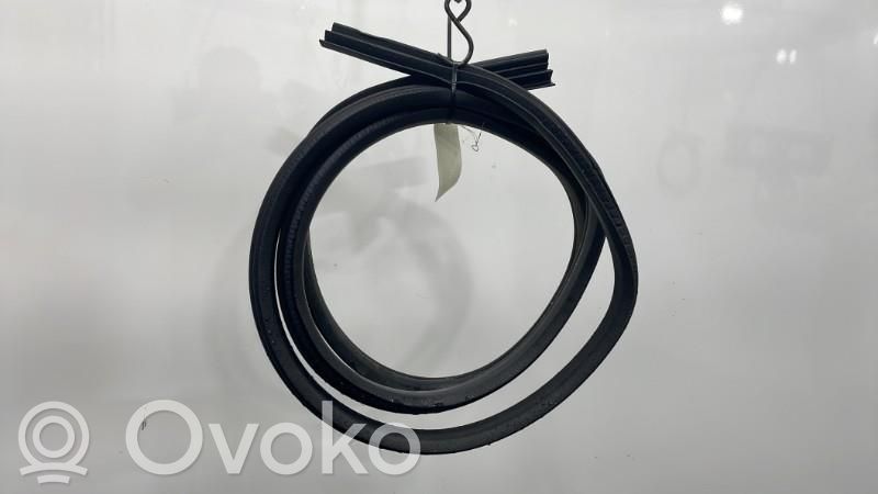Ford Focus Etuoven kumitiiviste 