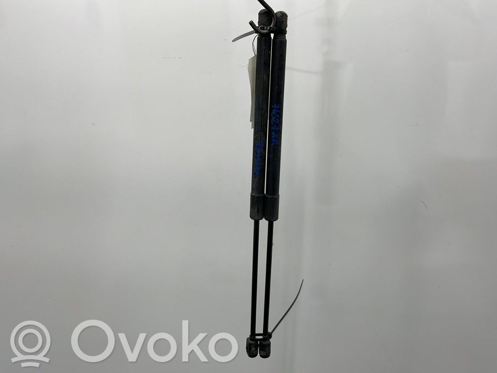 Tailgate/trunk strut/damper   1684312