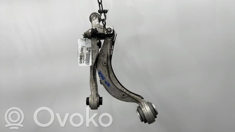 Dakša   T2H24313