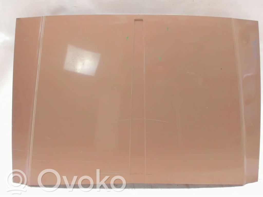 Engine bonnet/hood