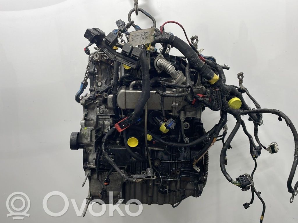 Motor