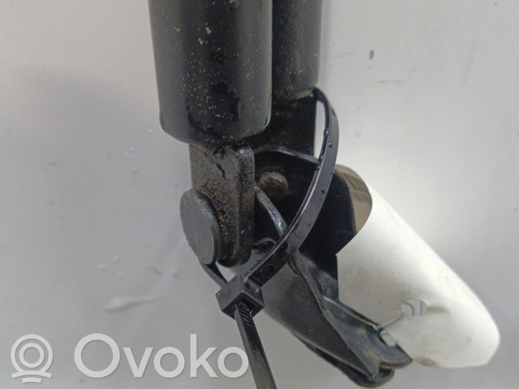 Tailgate/trunk strut/damper   C23563620E