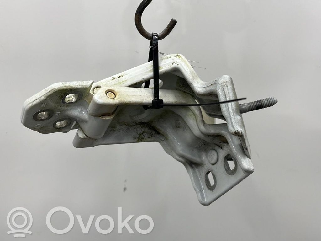 Tailgate/trunk/boot hinge