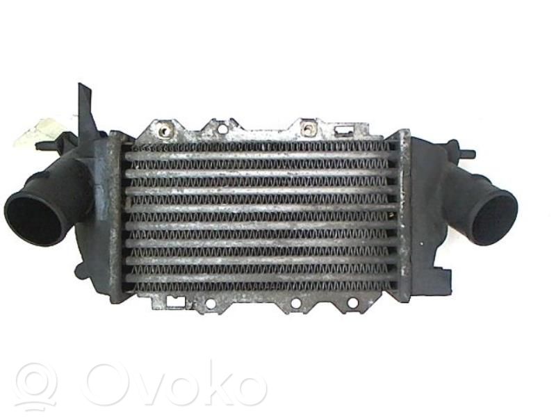 Interkūlerio radiatorius   52479128