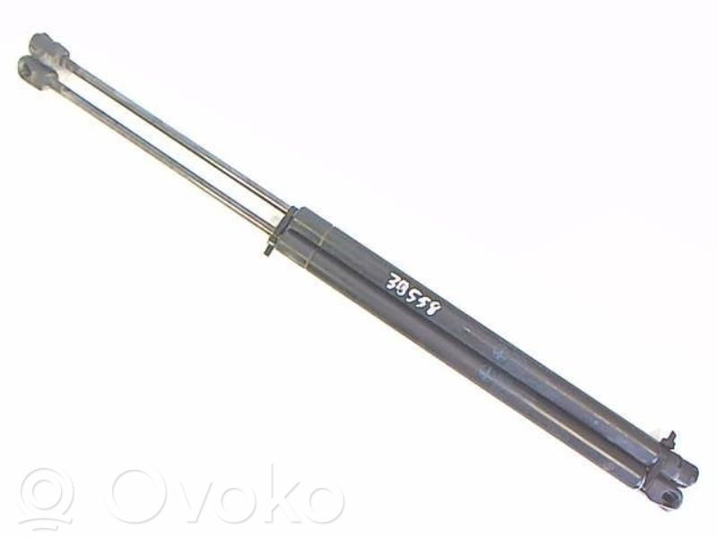 Tailgate/trunk strut/damper