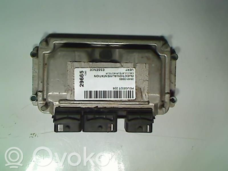 Peugeot 206 CC Engine control unit/module 
