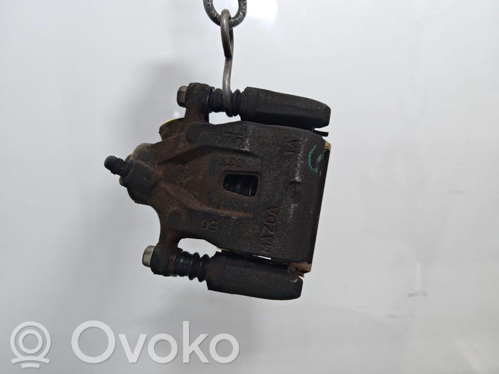 Takajarrusatula   K0112671XA