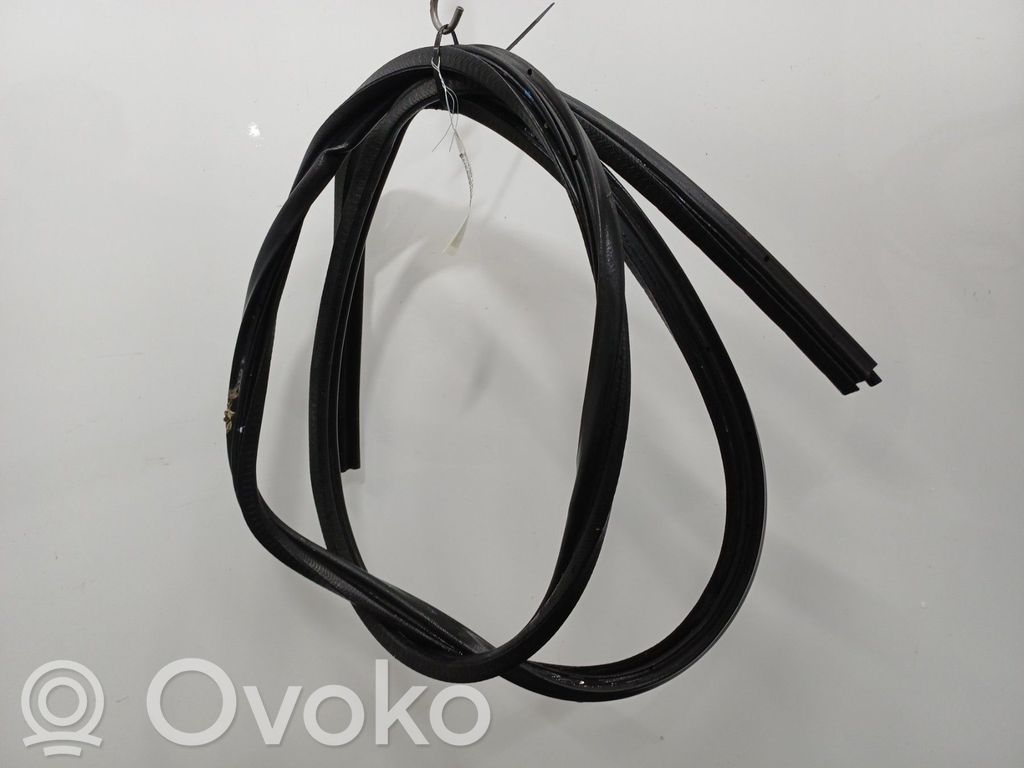 Renault Kangoo I Etuoven kumitiiviste 