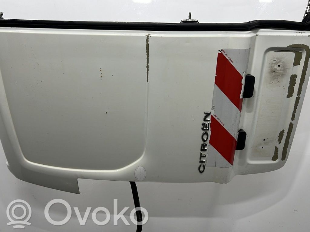 Takalastausovi   00008702A1