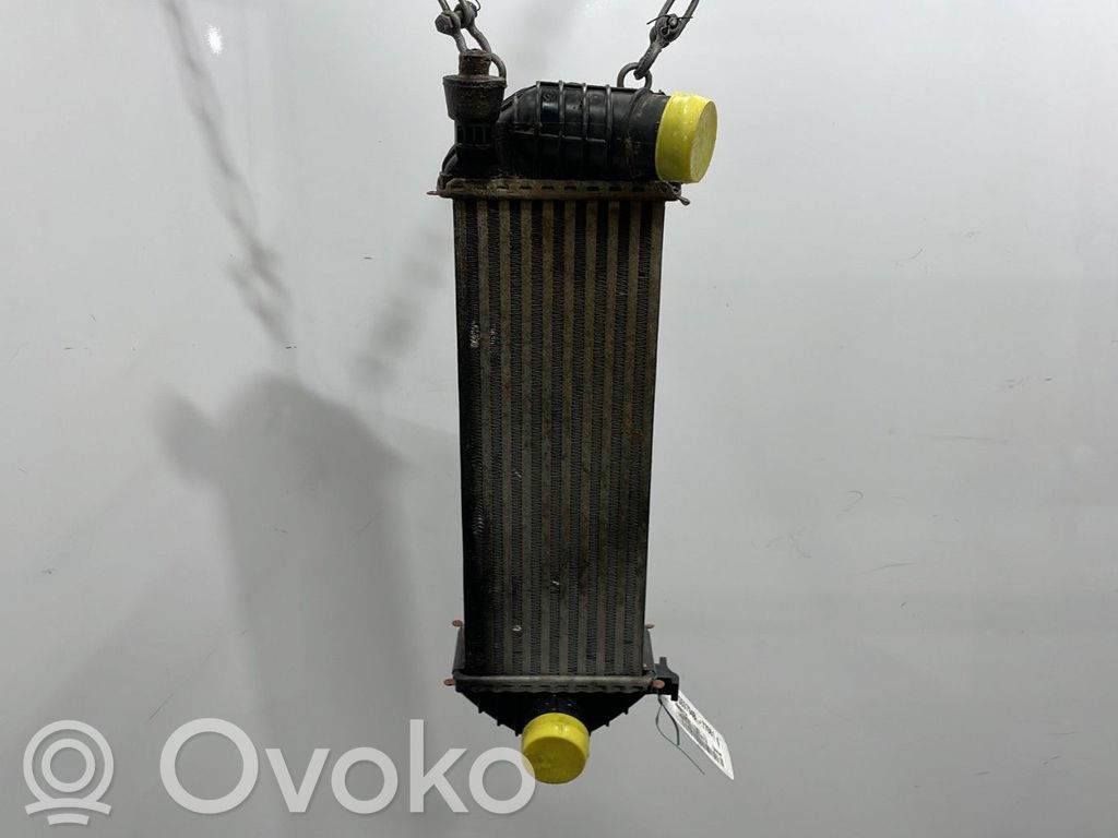 Renault Kangoo II Radiatore intercooler 