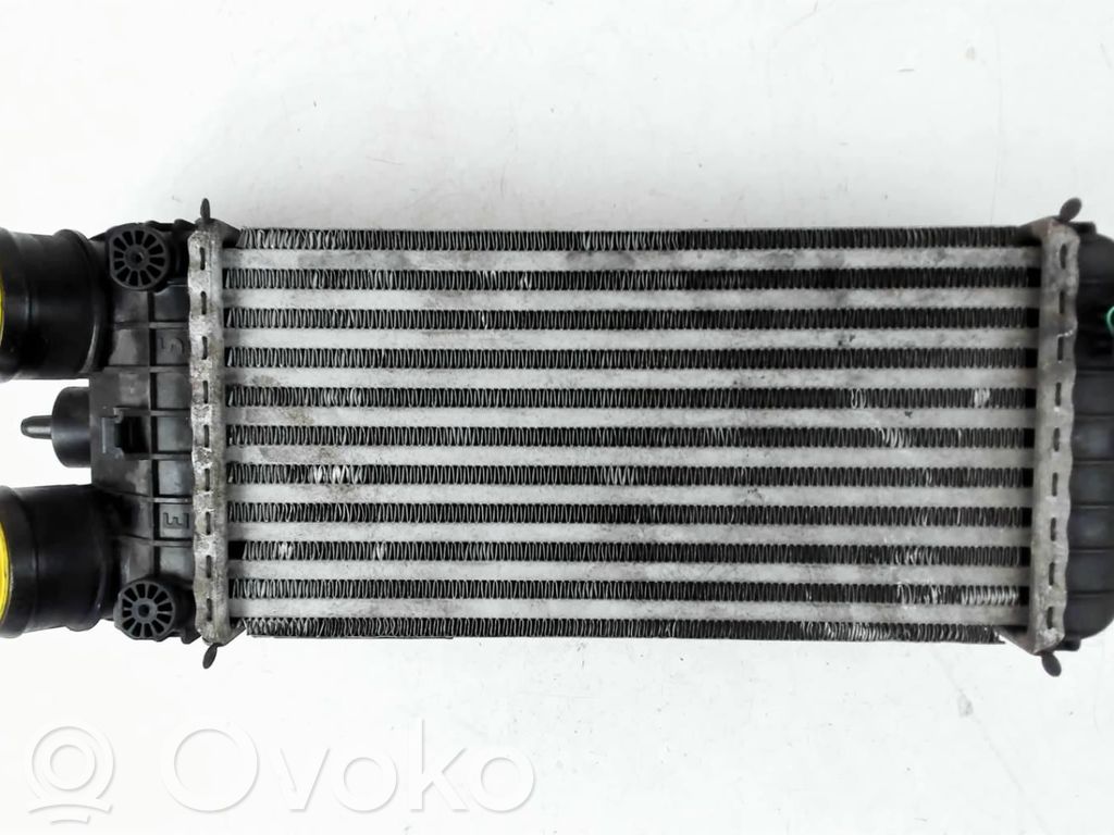Citroen DS3 Radiatore intercooler