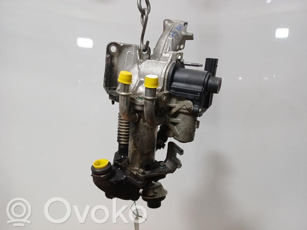 Renault Megane III Valvola EGR