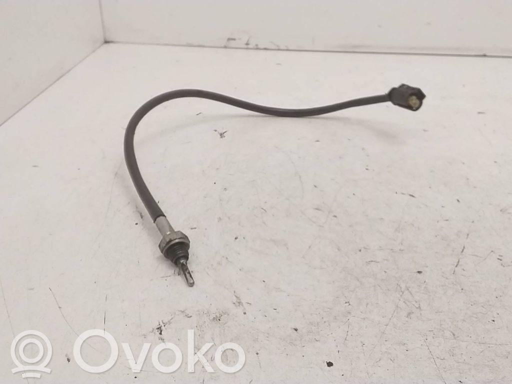 Abgastemperatursensor   7811913,010728000462
