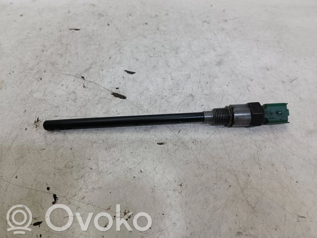 Peugeot 508 Oil level sensor 