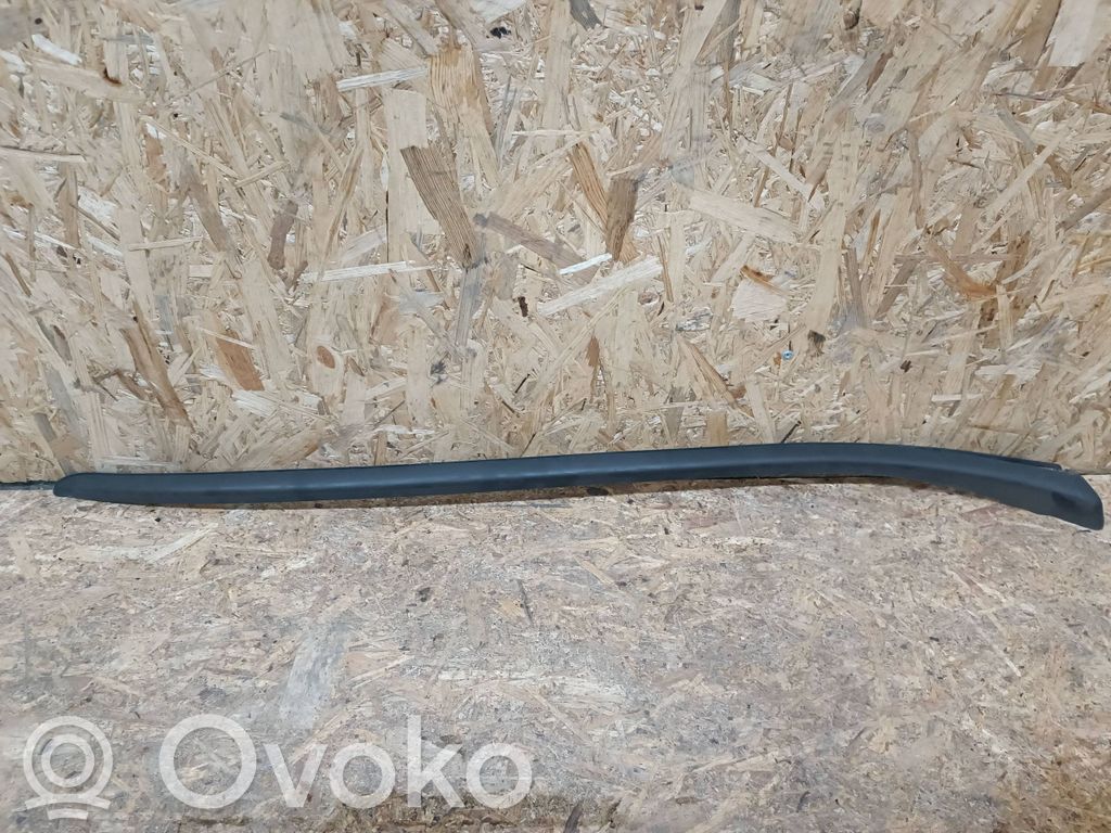 Citroen DS4 Windshield trim 