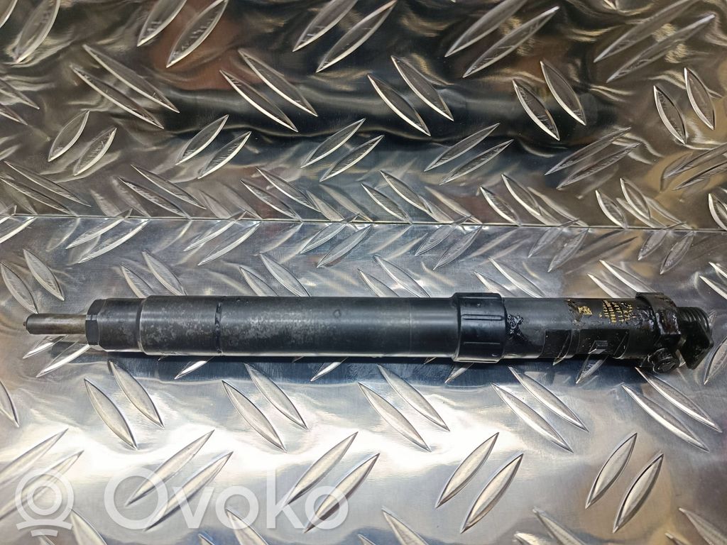 Citroen DS5 Fuel injector 