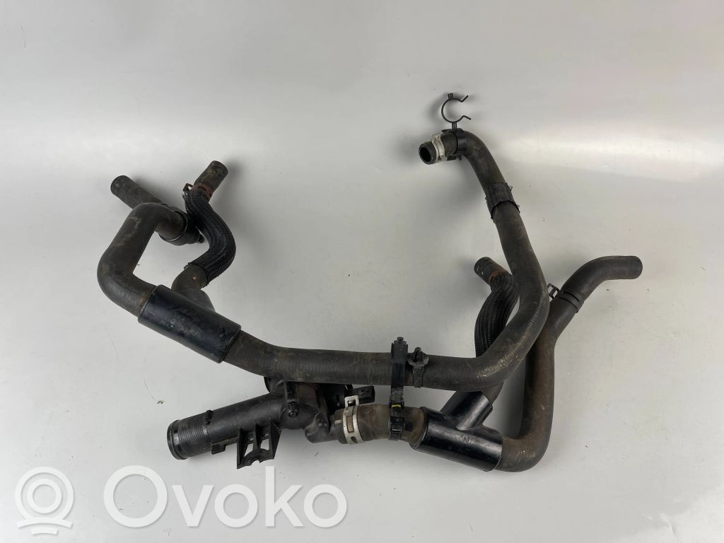 Renault Clio IV Termostato 