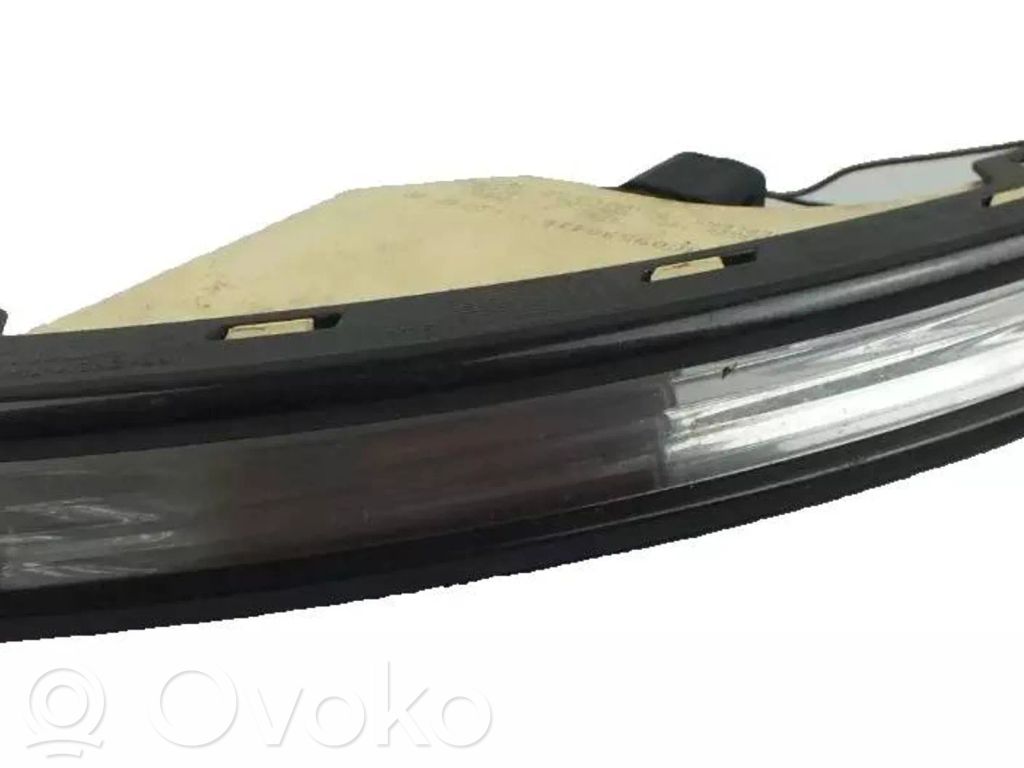 Volkswagen PASSAT Frontblinker 