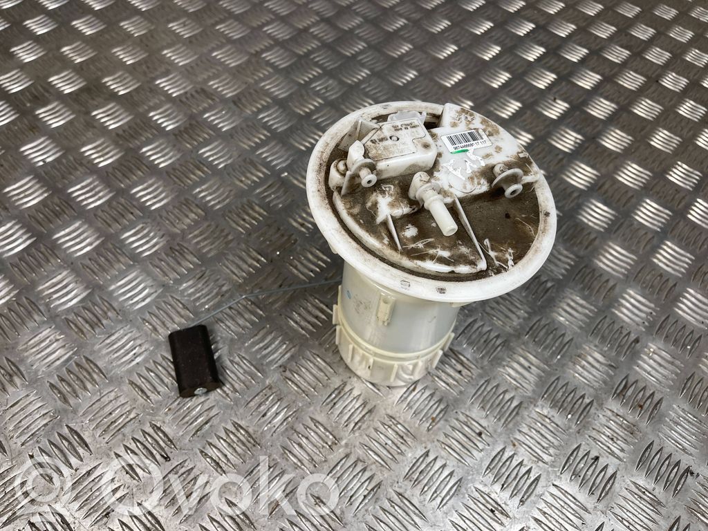 Citroen C3 In-tank fuel pump 