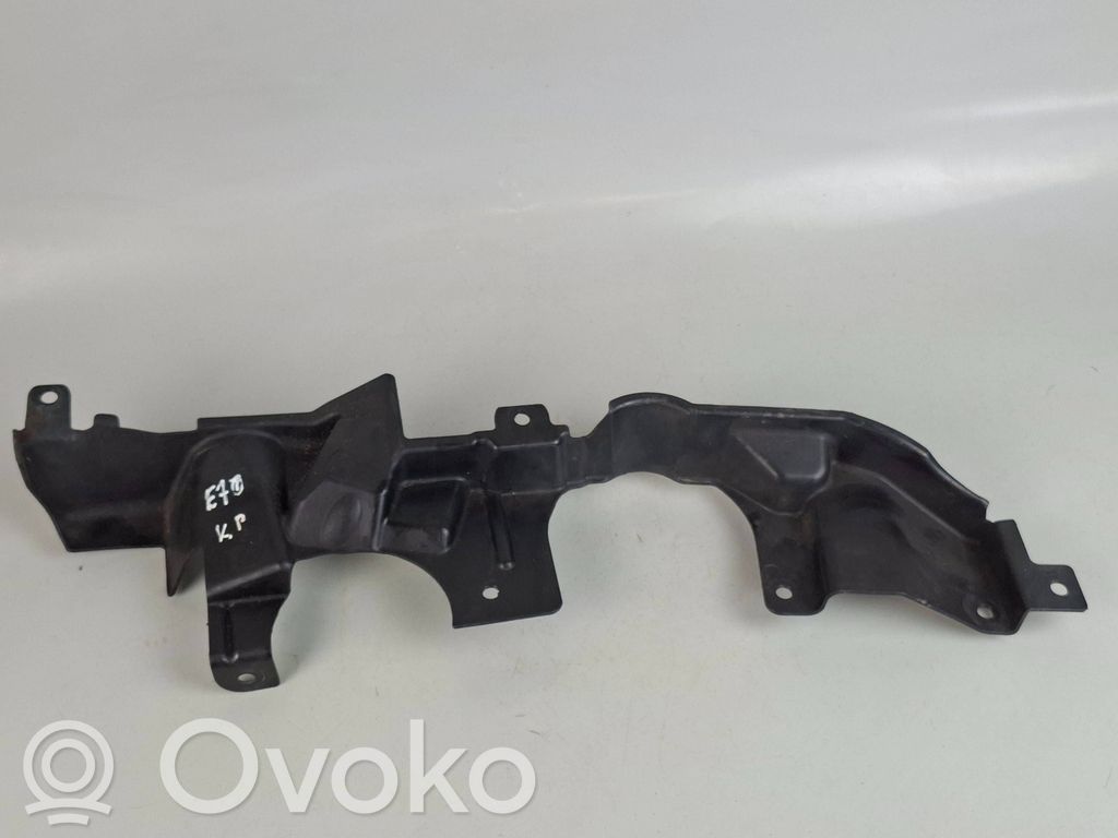 BMW X5 E70 Dzinēja apakšas aizsargs (priekšdaļā) 