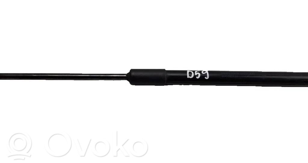 Renault Clio V Tailgate/trunk strut/damper 