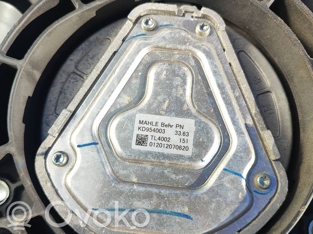 Tesla Model Y Verkabelung des Lüfters 