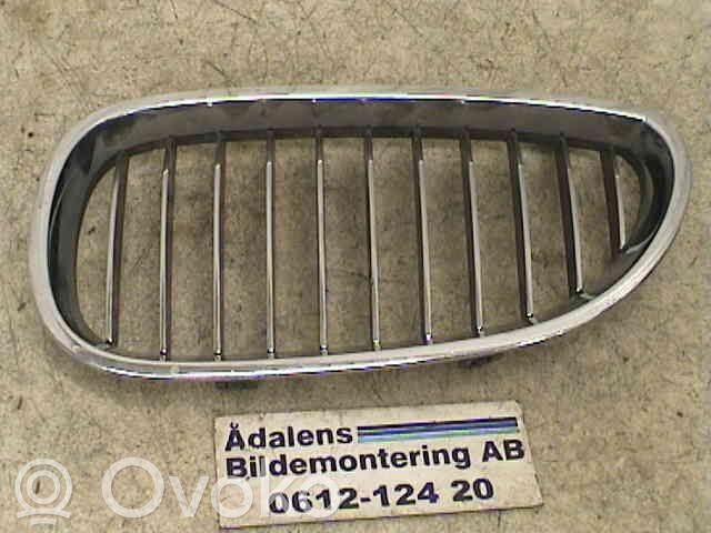 Front bumper lower grill   51137065701