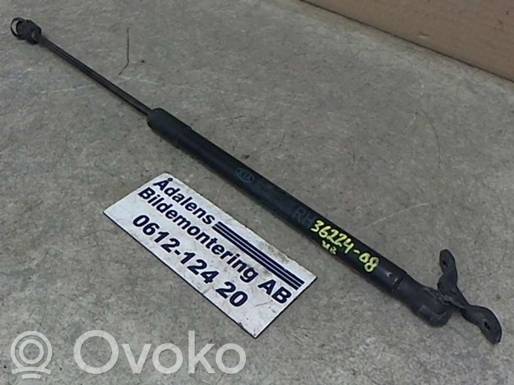 Tailgate strut   817801H310,420N