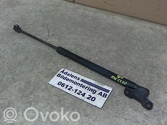 Tailgate strut   817701H310,420N