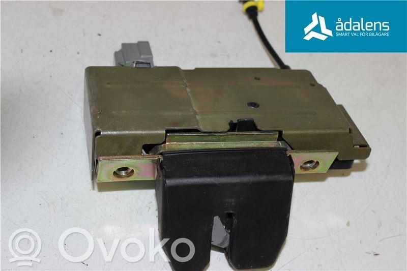 Loading door lock   31253053