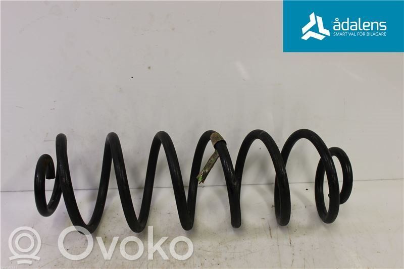 Rear coil spring