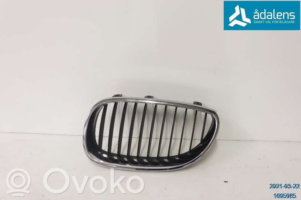 Front bumper lower grill   51137027061