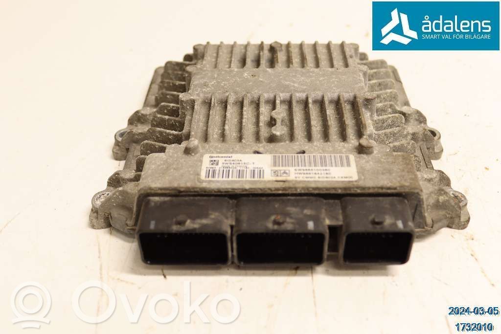Įpurškimo valdymo blokas   1943AE,5WS40615CT