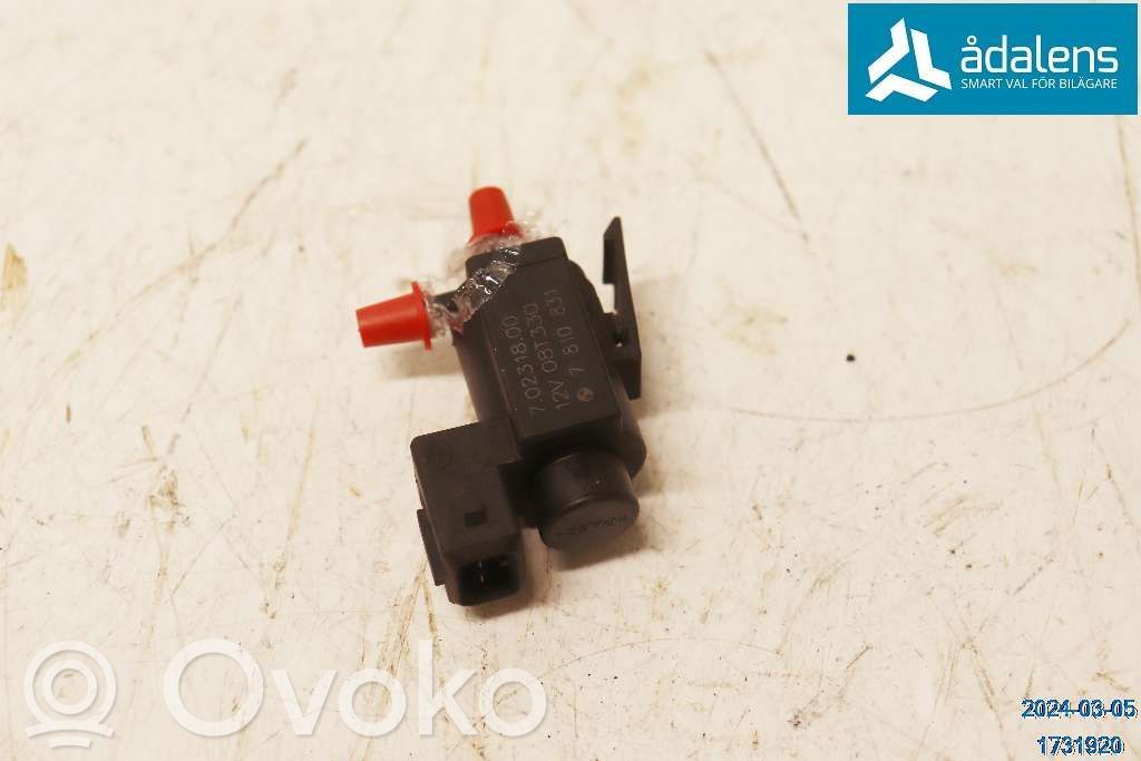 Tyhjiöputki   11747810831,70231800,7810831