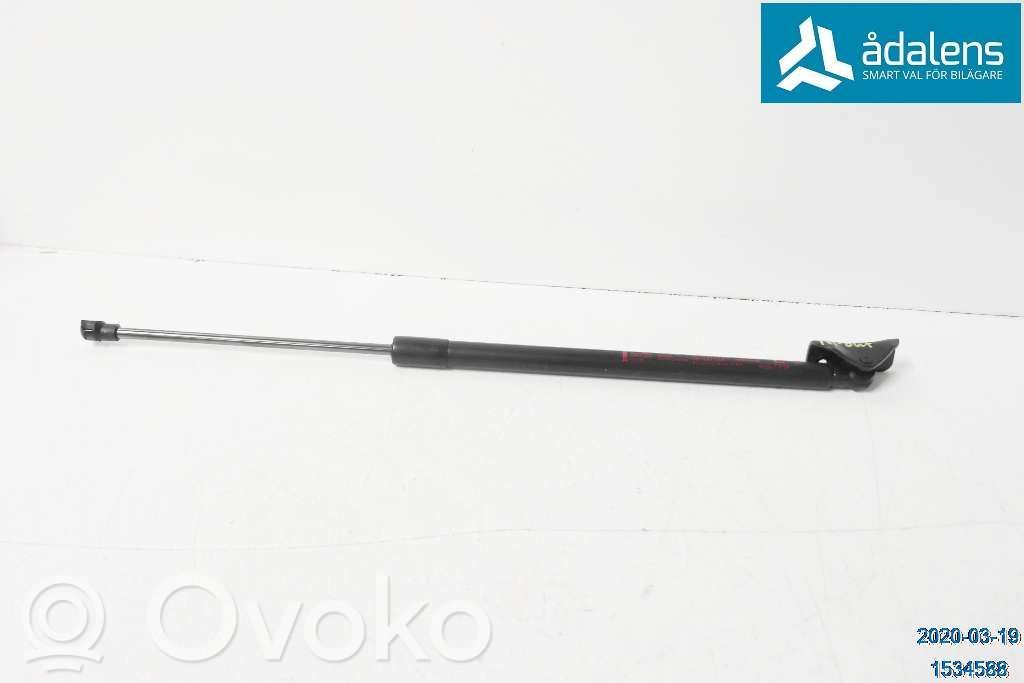 Tailgate strut   5802A779