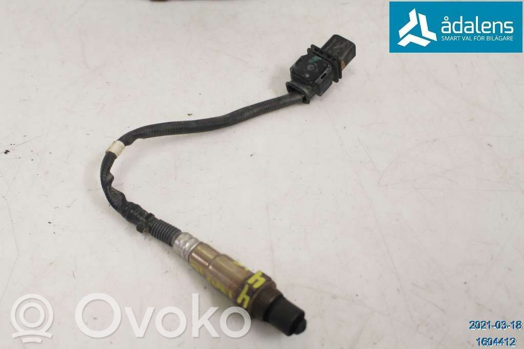 Lambda zondas   226A42455R