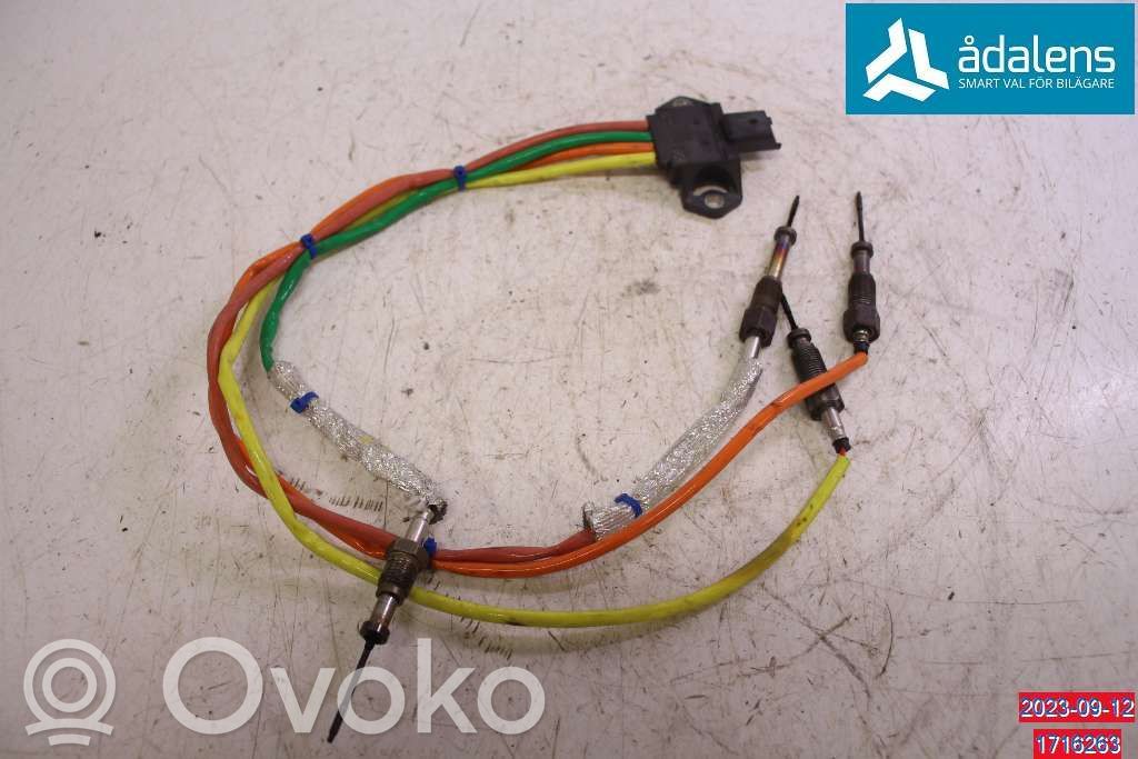 Abgastemperatursensor   226582354R,2658001100,226582354R
