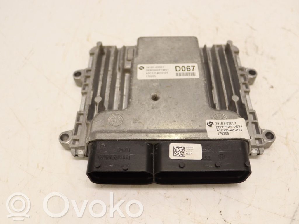 Unidad de control/módulo de la inyección   391A503DE1