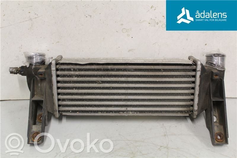 Ford Transit -  Tourneo Connect Starpdzesētāja radiators 