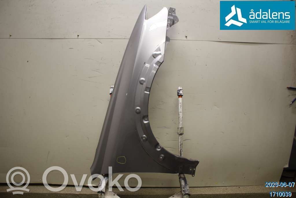 Guardabarro   57110AG1009P