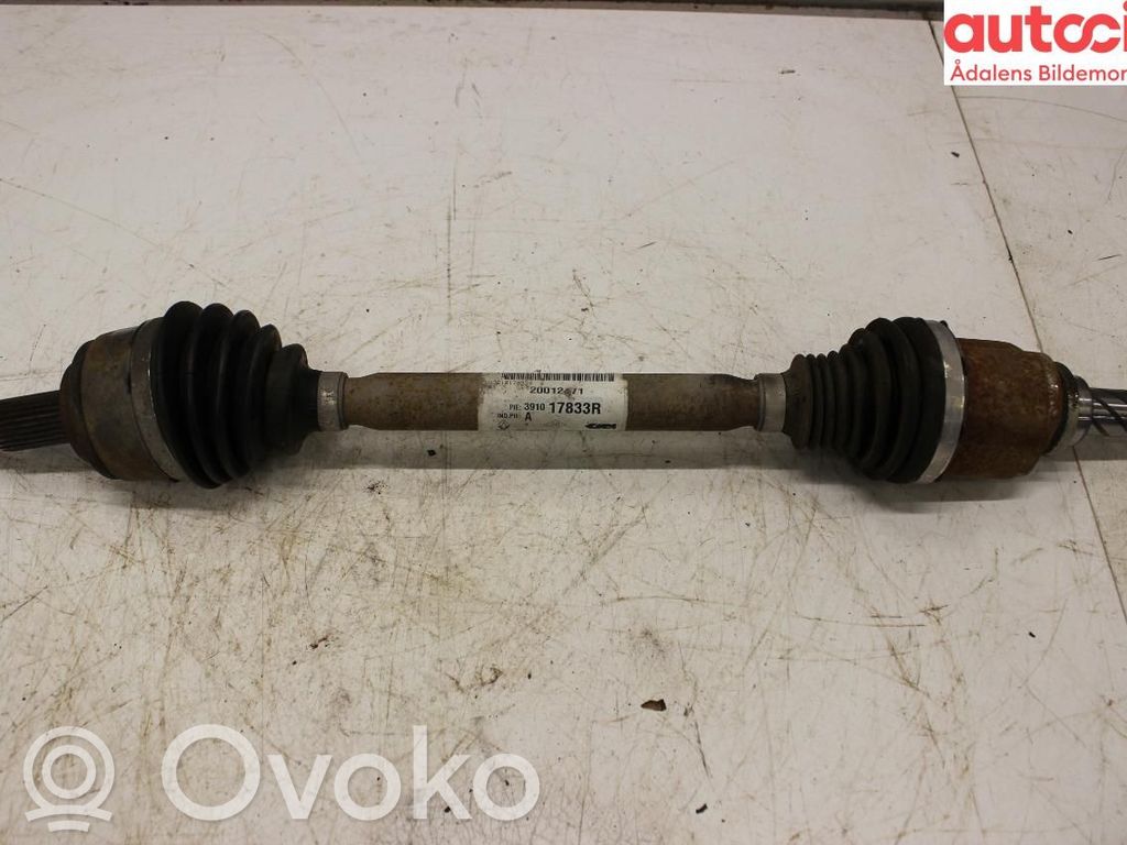 Priekinis pusašis   391017833R,391017833R