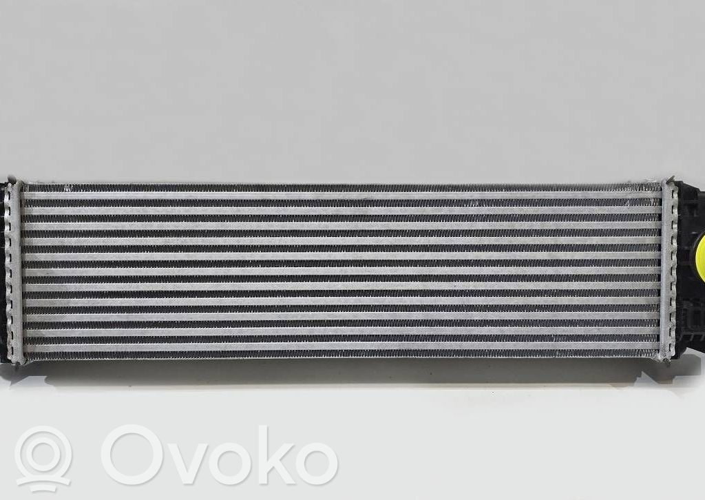 Interkūlerio radiatorius   32249741