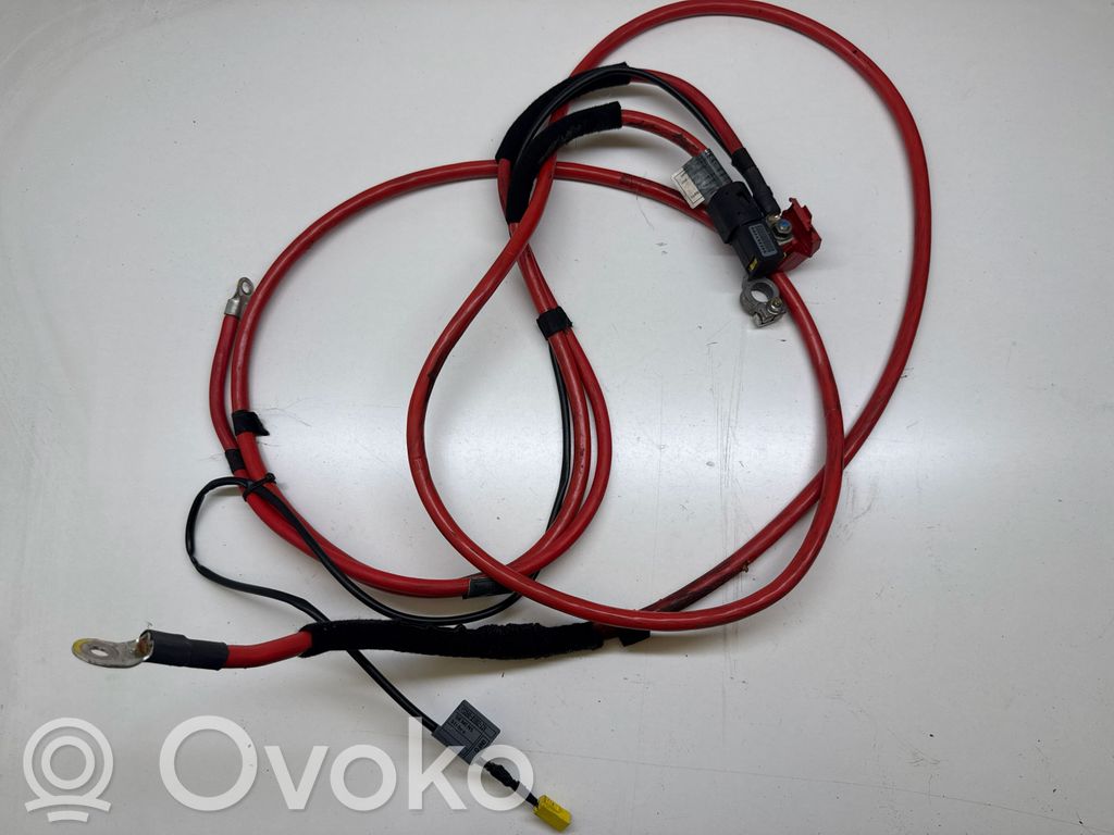 Plusa vads (akumulatora)   8386400,6906910,KW4101